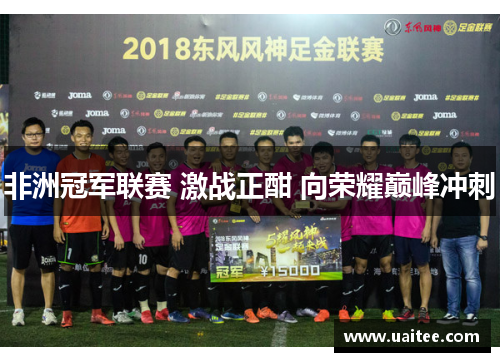 非洲冠军联赛 激战正酣 向荣耀巅峰冲刺