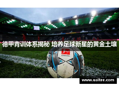 德甲青训体系揭秘 培养足球新星的黄金土壤