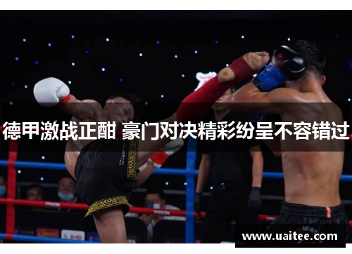 德甲激战正酣 豪门对决精彩纷呈不容错过