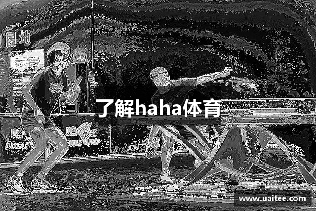 了解haha体育